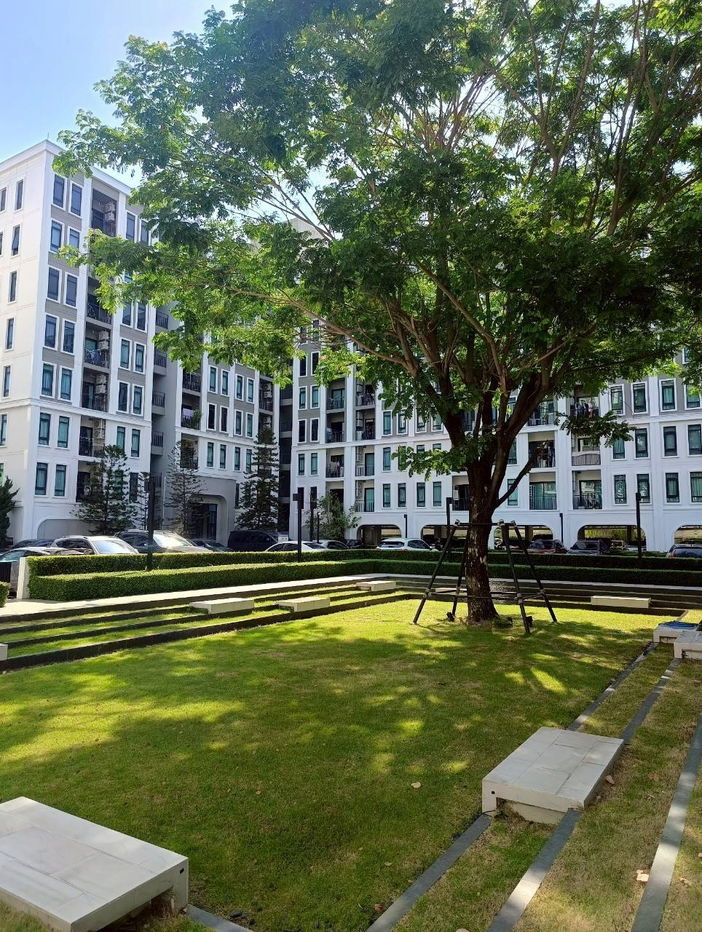 picture For rent !!!  Aspire Asoke-Ratchada | 18K. per month | 35 sq.m.  1Bed 1Bath  3rd Floor - 17/20