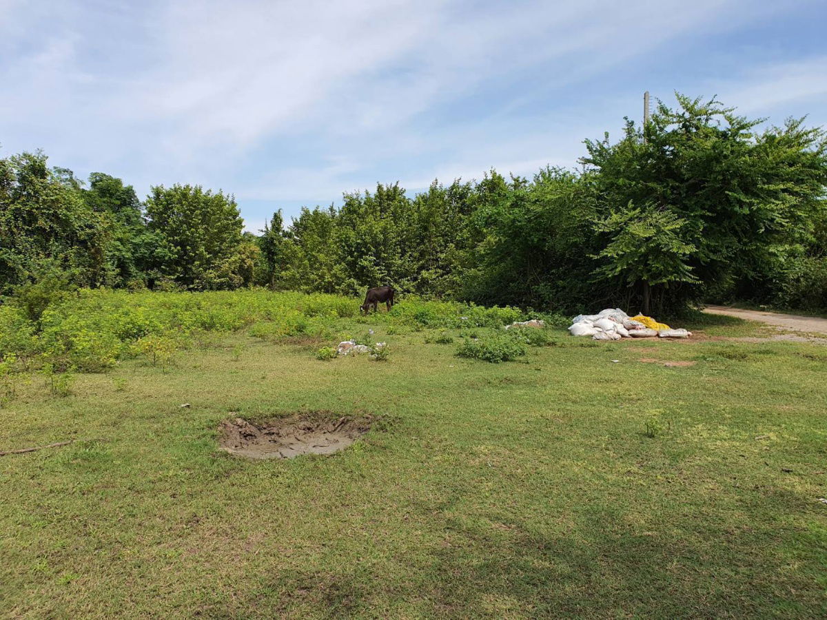 รูป ขายที่ดิน 388 ตรว. อ.บ้านโป่ง จ.ราชบุรี - รูปที่ 4/8