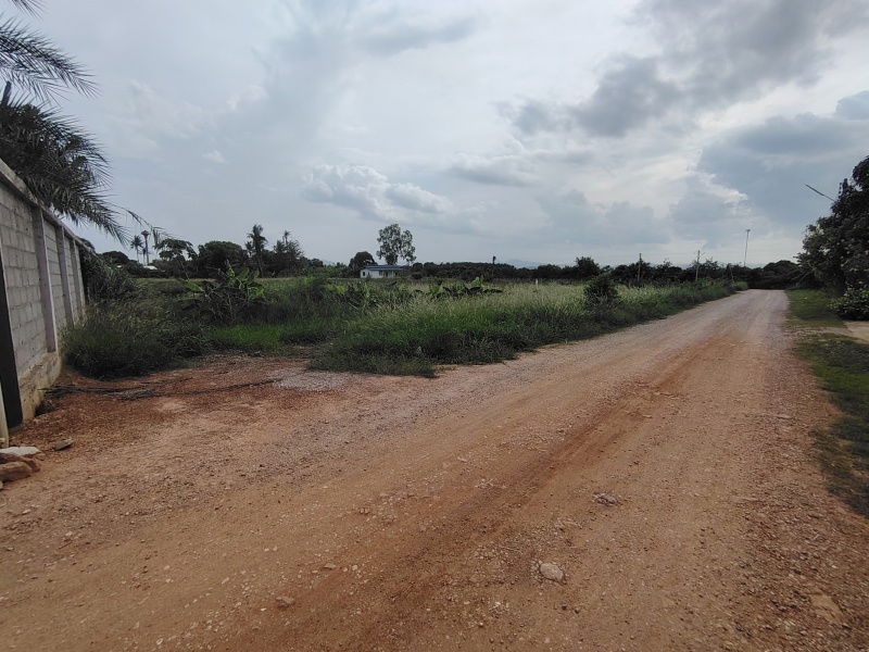 picture 2-3-82 Rai | Home Development Land  In a Fast Developing Residential Area! - 11/11