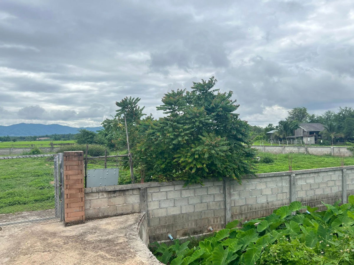 รูป ขายที่ดินสวยๆ พร้อมใช้ชีวิตแบบสโลไลฟ์ในต่างจังหวัด (พร้อมโอน) - รูปที่ 2/8