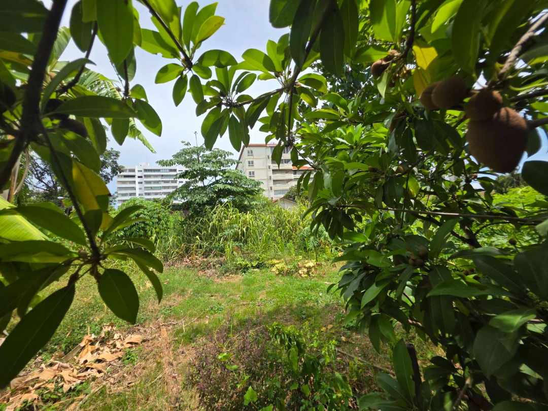 picture Land for Sale at Najomtien Beach – 68 sq.wah - 7/18