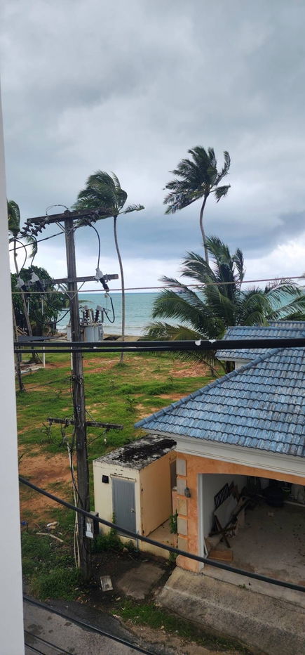 picture New 4-room homestay for sale, seaside, Khao Lak, Phang Nga, prime location Bang Niang Soi 1 - 5/30