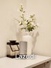 listing thumbnail image 20