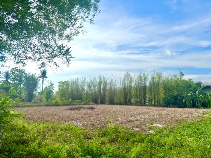 picture Land for sale with restaurant next to the waterfront💦🌳 - 7/10