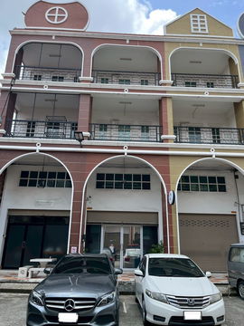 Townhome Tulip Bistown, 3 and a half floors, area size 18 sq m.