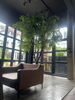 listing thumbnail image 16
