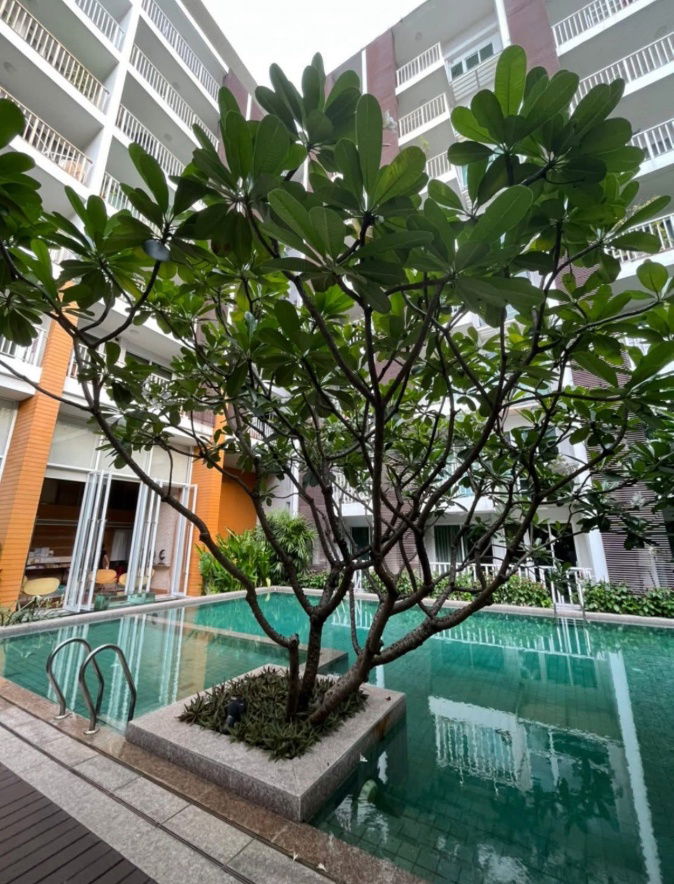 picture 🌿✨ Condo for rent Haven Phahon Yothin (Inthamara 4) ✨🌿(Code :MCR0319) - 5/9