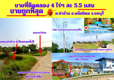 ที่ดิน พนัสนิคม ชลบุรี : ขายถูกที่สุด ที่ดิน 4 ไร่ๆละ 5.5 แสน  ต.ท่าข้าม อ.พนัสนิคม จ.ชลบุรี