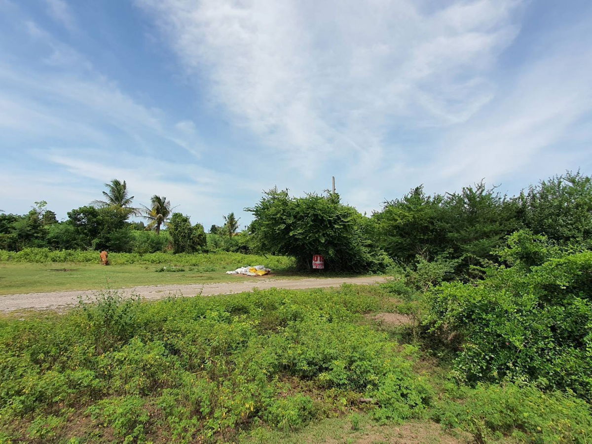 รูป ขายที่ดิน 388 ตรว. อ.บ้านโป่ง จ.ราชบุรี - รูปที่ 5/8