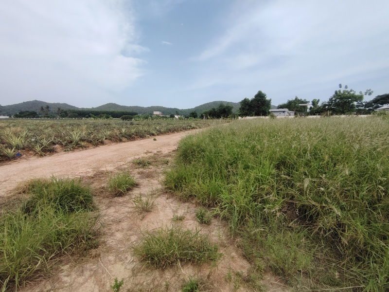 picture 2-3-82 Rai | Home Development Land  In a Fast Developing Residential Area! - 9/11