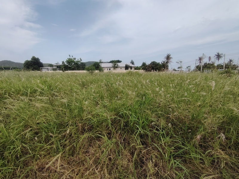 picture 2-3-82 Rai | Home Development Land  In a Fast Developing Residential Area! - 6/11