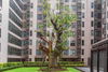 listing thumbnail image 14