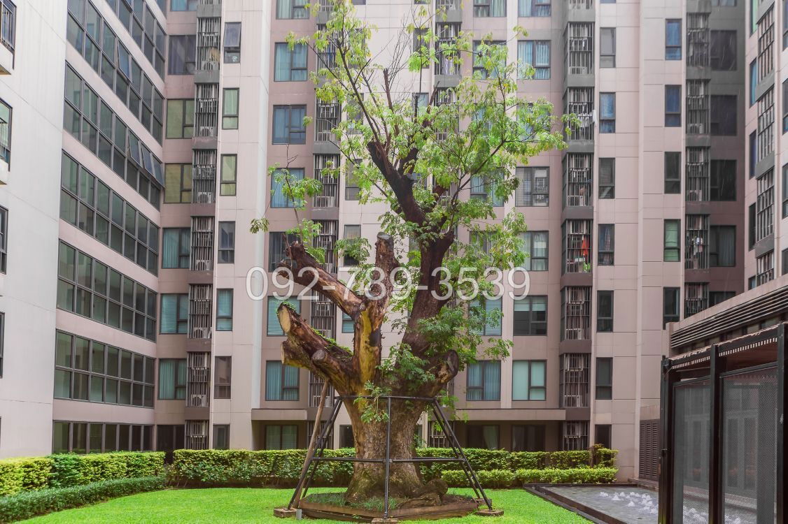 picture Centric Ari Station Condominium for Sale 7th floor garden view - 15/17