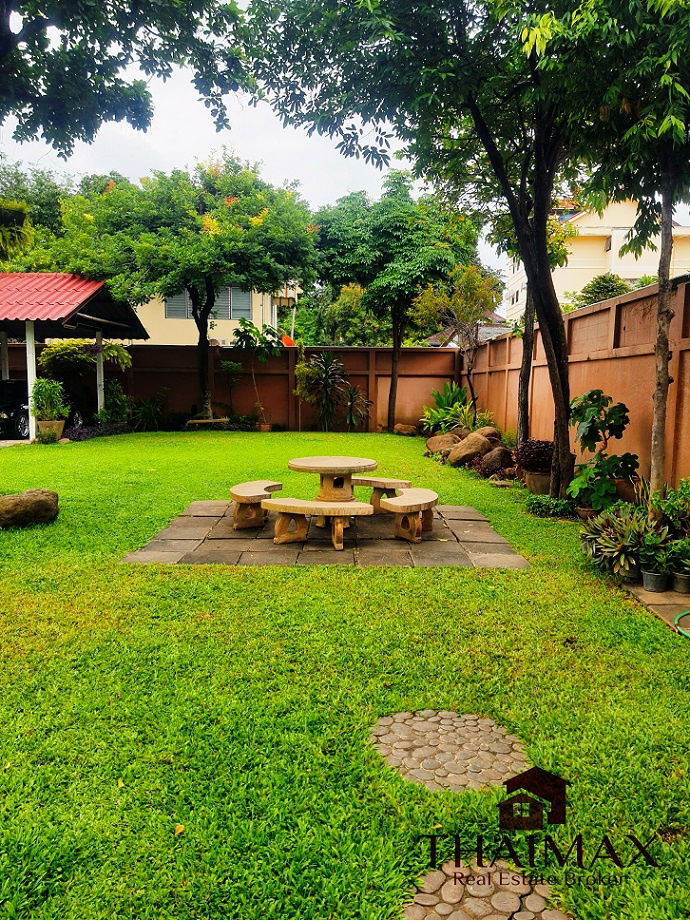 picture The good location land of 313 sq.wa on Thapae rd. in the heart of Chiang Mai city for sale. - 3/8