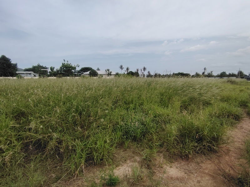 picture 2-3-82 Rai | Home Development Land  In a Fast Developing Residential Area! - 10/11