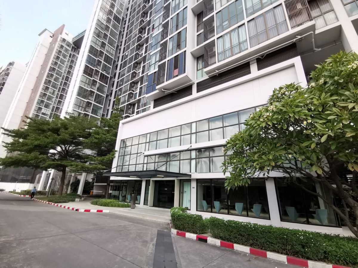 picture Condo For Rent // IDEO Mix Sukhumvit103 - 14/14