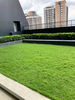 listing thumbnail image 24