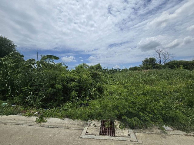 picture FOR SALE  LAND PROPERTY  6930000 BAHT. - 4/8