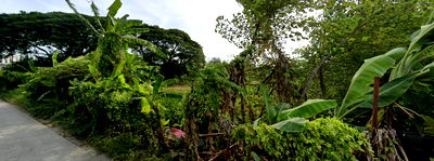 Land for sale Anya Thani Industrial Estate (Gemopolis) : Vacant land for sale in Soi Pattanakarn 92