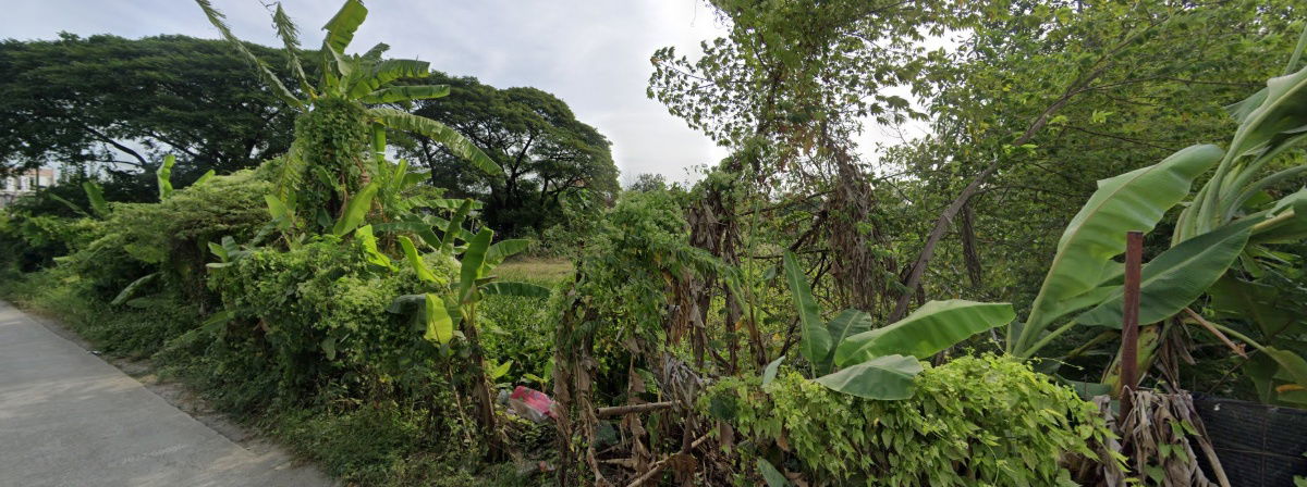 picture Vacant land for sale in Soi Pattanakarn 92 - 1/2