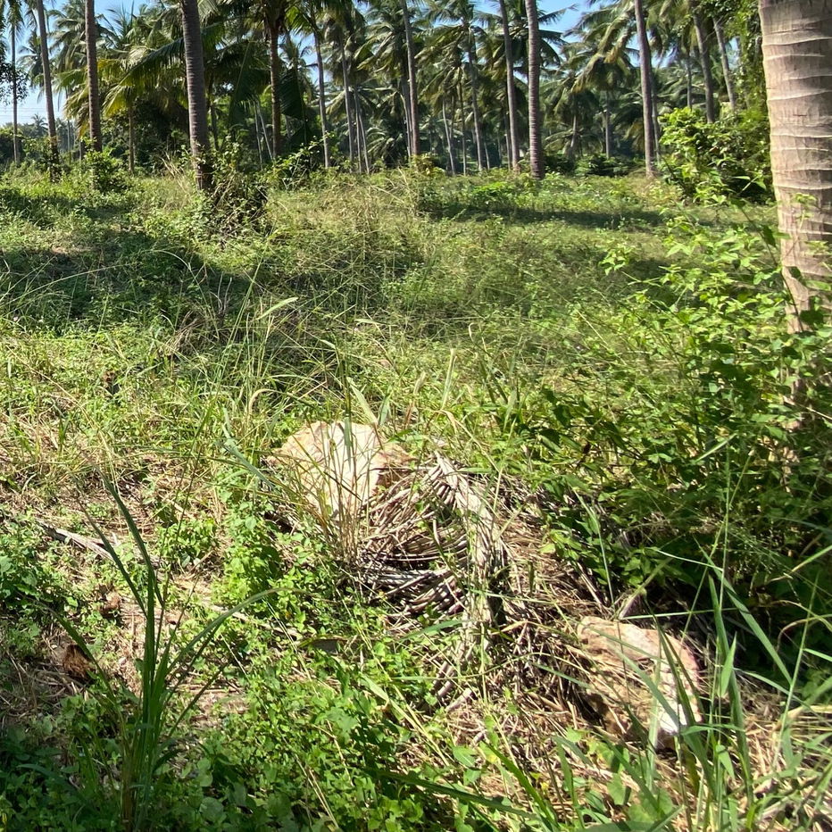 picture Cheapest Coastal Land – 338 sq. wah, 1 Mins from the Sea (owner post) - 2/5