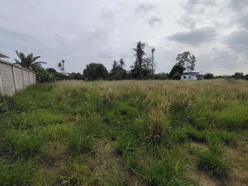 picture 4-0-0 Rai | Home Development Land    In a Fast Developing Residential Area! - 7/14