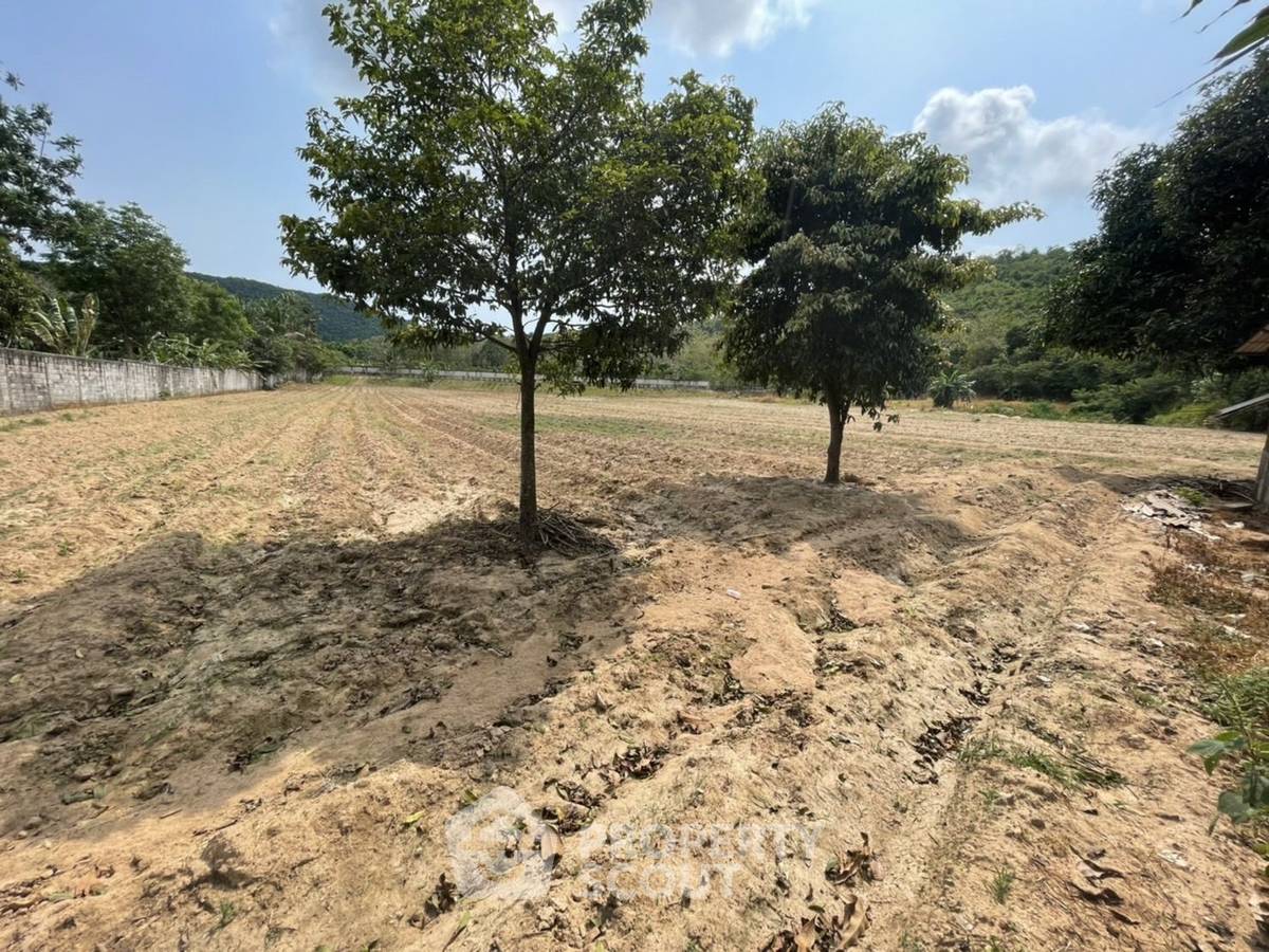 picture 8,844 m² Land for Sale in Sattahip (ID 1473643) - 11/19