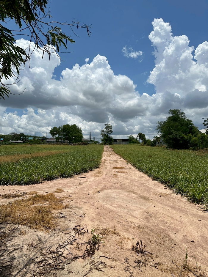 รูป ขายที่ดิน 14 ไร่ ระยอง ติดถนนนิคมพัฒนา สาย 13 ซอย 5 ต.มาบข่า อ.นิคมพัฒนา FOR “EEC” ZONE For industrial businesses (Area: 14-0-60 rai RAYONG - รูปที่ 2/11