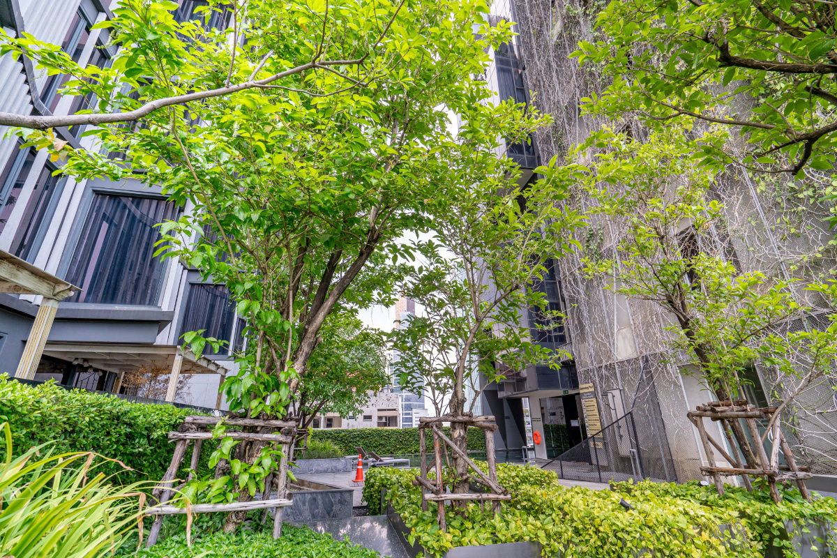 picture Siamese Ratchakru 1 Bedroom 31 sqm 24th foor - 61/84
