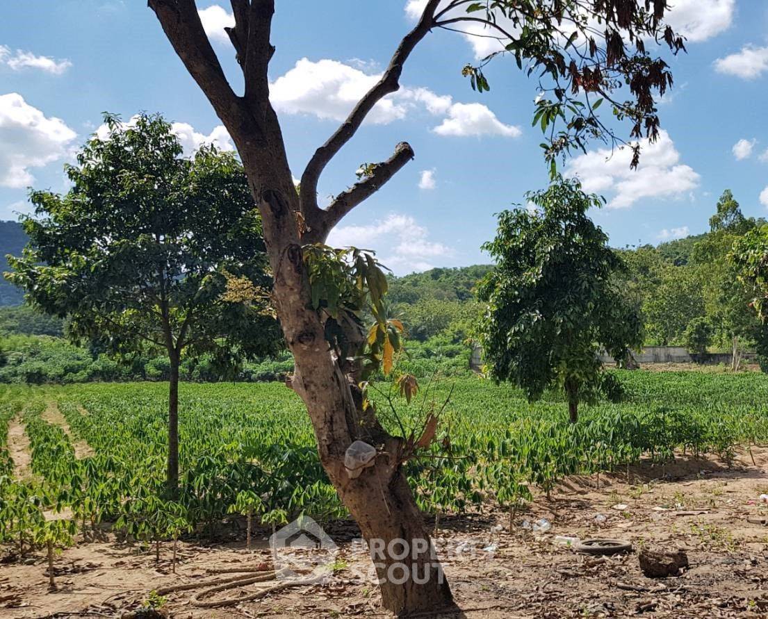 picture 3,424 m² Land for Sale in Sattahip (ID 1473642) - 2/17
