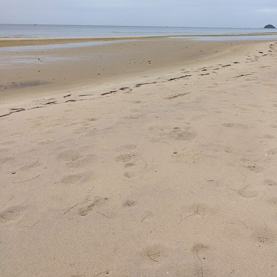 picture Cheapest Coastal Land – 338 sq. wah, 1 Mins from the Sea (owner post) - 5/5