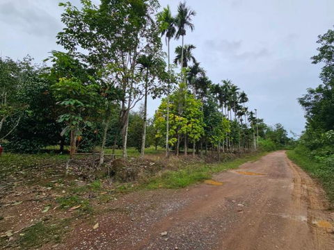 Fruit orchard for sale, mixed orchard, Tha Mai District, Chanthaburi