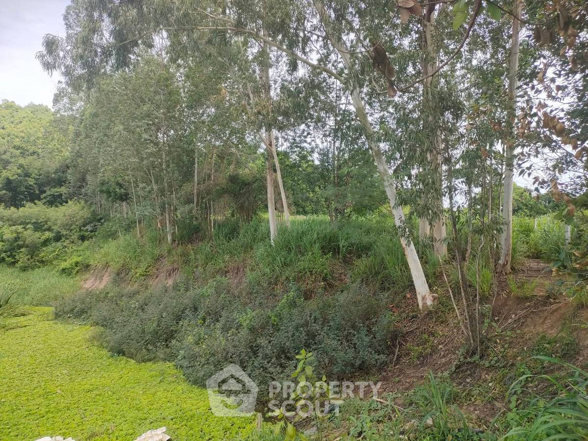 picture 3,424 m² Land for Sale in Sattahip (ID 1473642) - 6/17