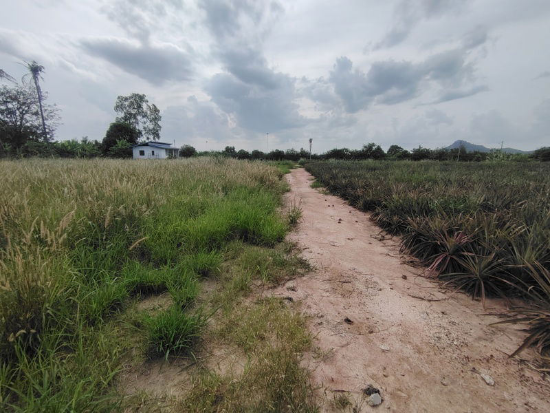 picture 4-0-0 Rai | Home Development Land    In a Fast Developing Residential Area! - 6/14