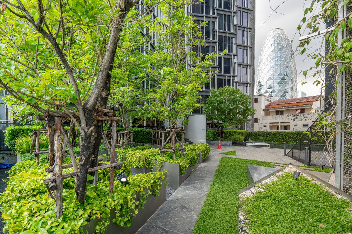picture Siamese Ratchakru 1 Bedroom 31 sqm 24th foor - 58/84