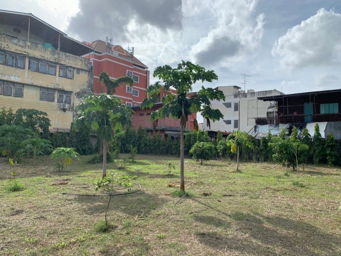 picture B1000 Detached house for rent, 3 bedrooms, 600 square wah, city centre, near ICon Siam and golden BTS, ready to move in! - 10/13