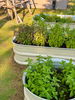 listing thumbnail image 14