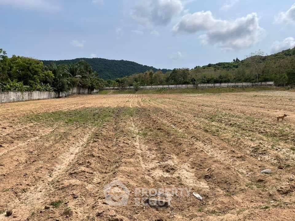 picture 8,844 m² Land for Sale in Sattahip (ID 1473643) - 14/19