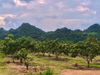 listing thumbnail image 4