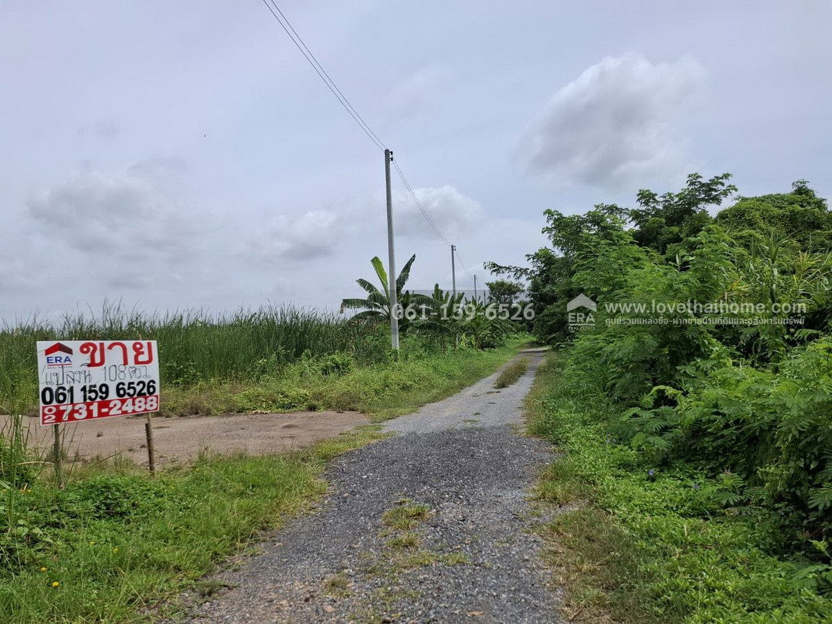 รูป ขายที่ดินถมแล้ว ถ.เจริญทำ (พุทธมณฑลสาย 5) ต.บางเตย สามพราน นครปฐม 108 ตร.วา แปลงสวย สี่เหลี่ยม ถนนหน้าที่ดินกว้าง 8 เมตร - รูปที่ 2/7