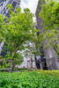 listing thumbnail image 62
