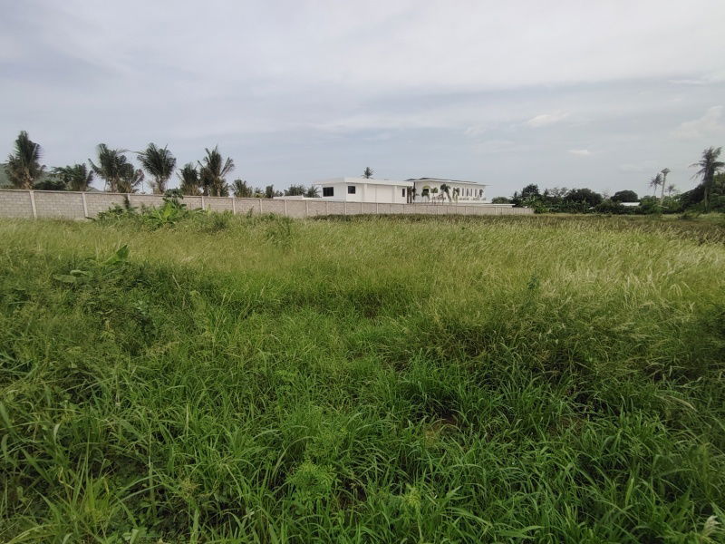 picture 4-0-0 Rai | Home Development Land    In a Fast Developing Residential Area! - 2/14