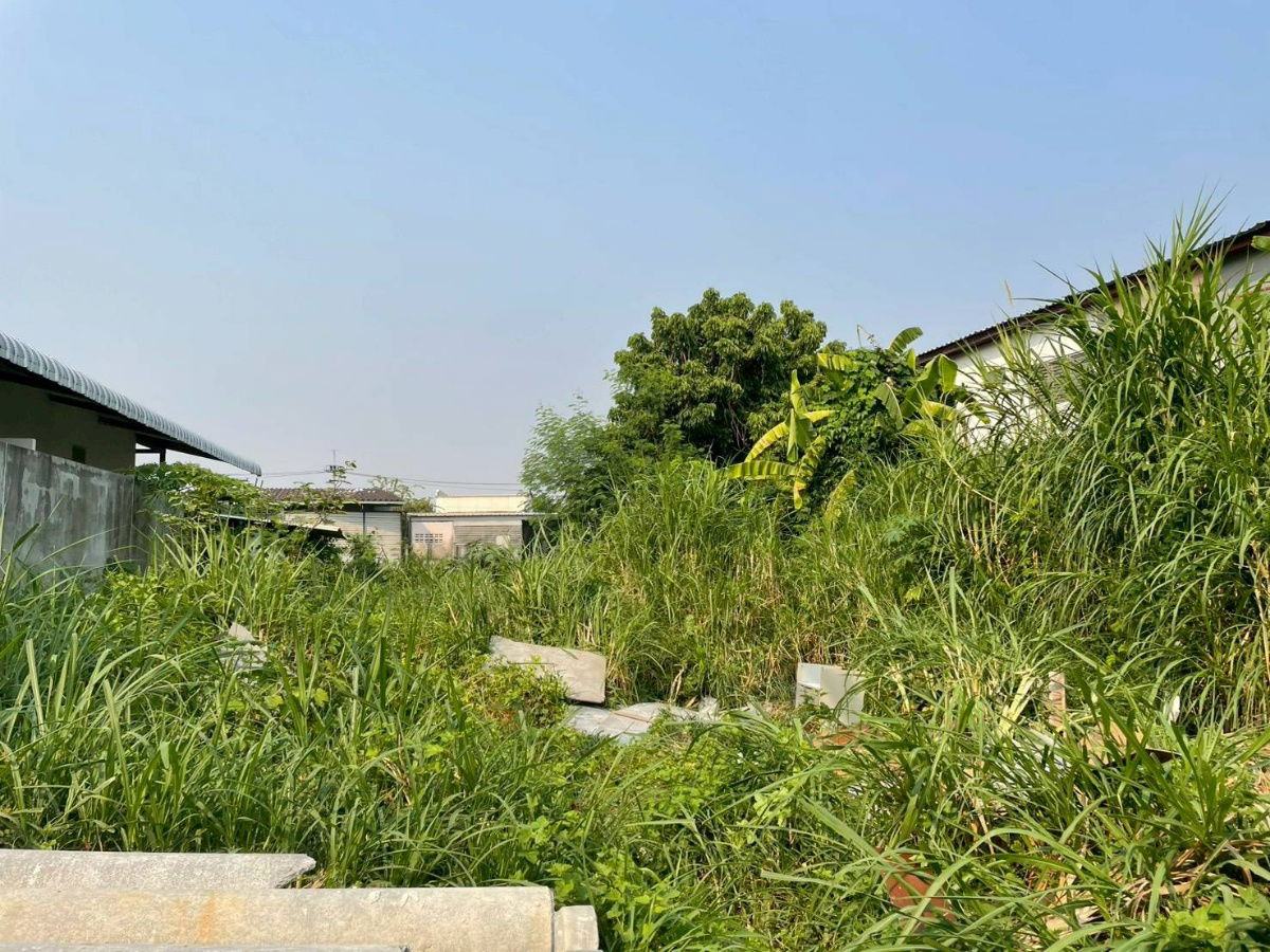 picture Land for sale , near sarasas witaedlannaschool 1 km., thakam , muang,chiang mai - 2/3