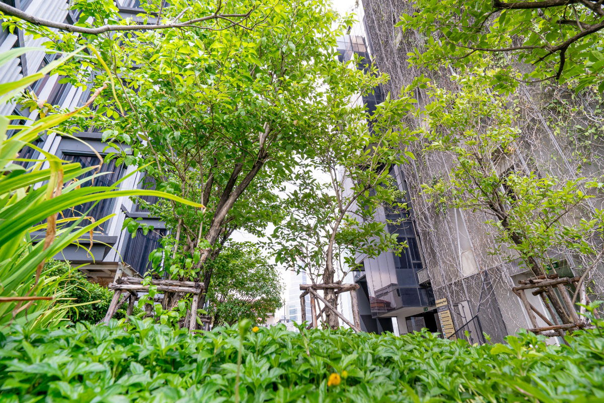 picture Siamese Ratchakru 1 Bedroom 31 sqm 24th foor - 62/84