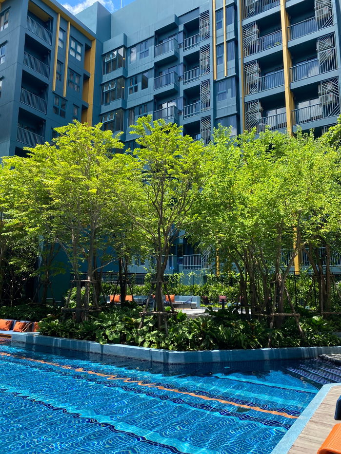 picture For Sale: The Base Sukhumvit 50 – BTS OnNut 1 Bedroom | Sale with Tenant - 8/10