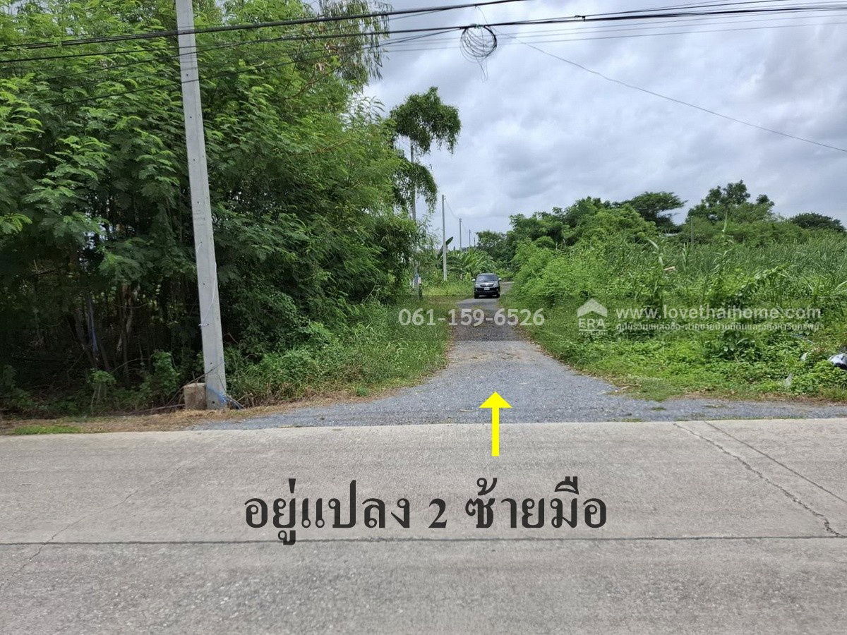รูป ขายที่ดินถมแล้ว ถ.เจริญทำ (พุทธมณฑลสาย 5) ต.บางเตย สามพราน นครปฐม 108 ตร.วา แปลงสวย สี่เหลี่ยม ถนนหน้าที่ดินกว้าง 8 เมตร - รูปที่ 5/7