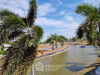 listing thumbnail image 33