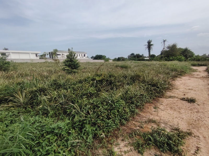 picture 4-0-0 Rai | Home Development Land    In a Fast Developing Residential Area! - 14/14