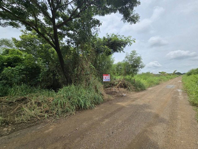 picture FOR SALE  LAND PROPERTY  1200000 BAHT. - 2/8
