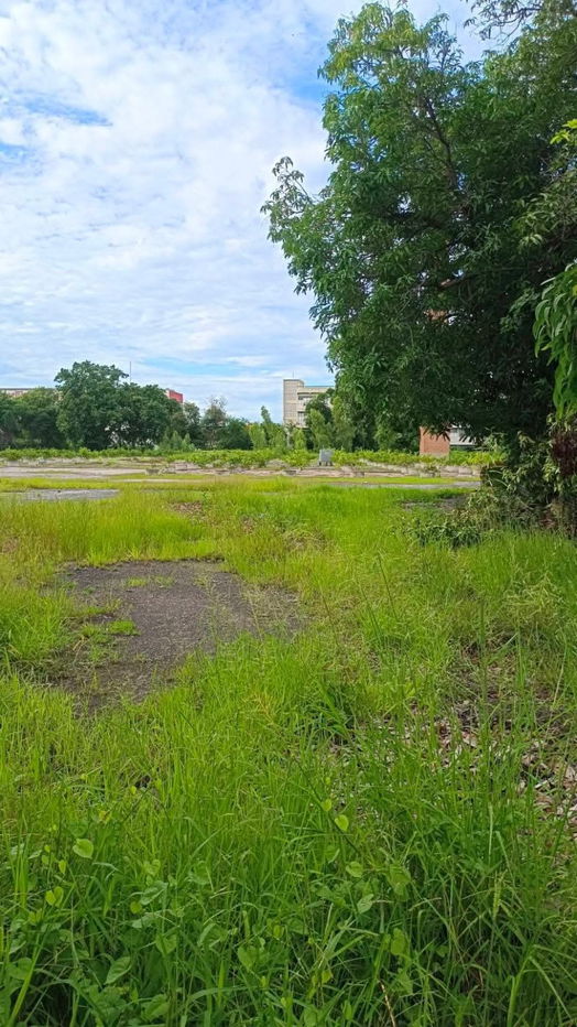 รูป ขายที่ดิน ติดถนนมิตรภาพ ตำบลหมื่นไวยอำเภอเมืองนครราชสีมา ใกล้เซ็นทรัล - รูปที่ 5/6